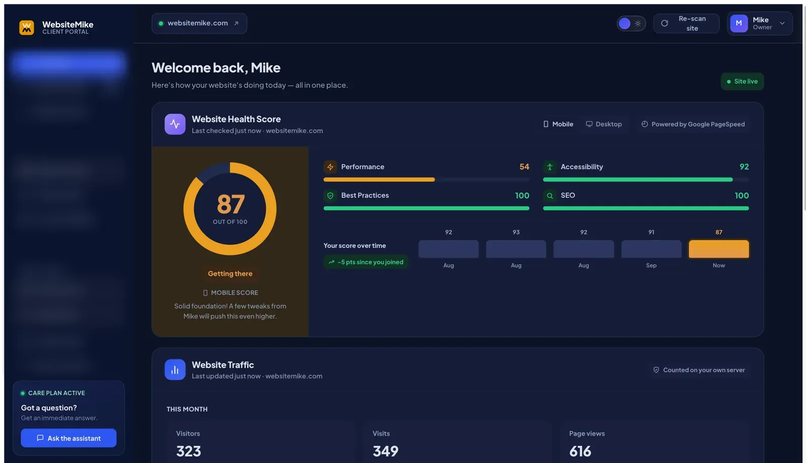 WebsiteMike client portal overview: live website health score with performance, accessibility, best-practice and SEO scores, score history, and this month's traffic.